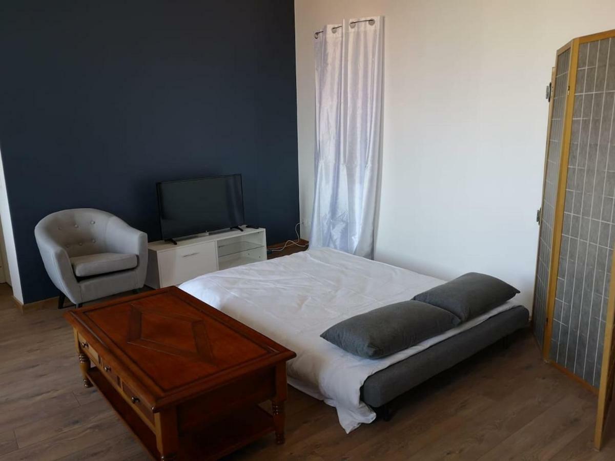 Appartement Spacieux Et Confortable La Roche-de-Glun Ngoại thất bức ảnh